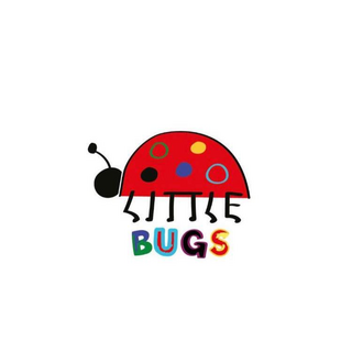  Little Bugs Co Discount Codes